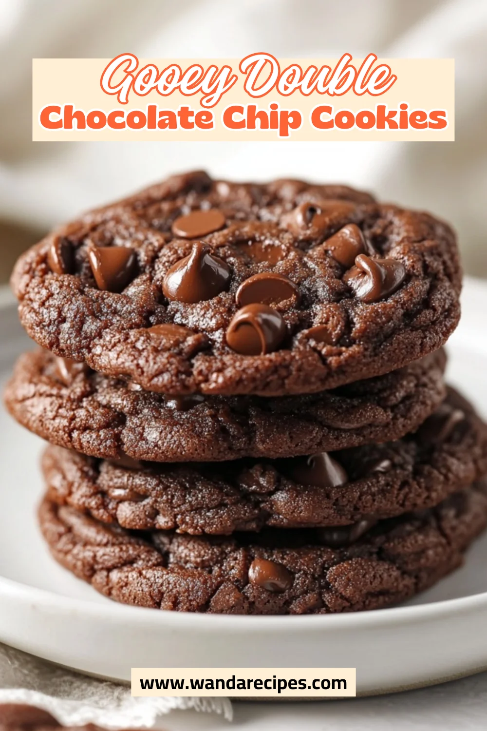 Best Double Chocolate Chip Cookies Recipe For Soft, Decadent Treats 2 Double Chocolate Chip Cookies
