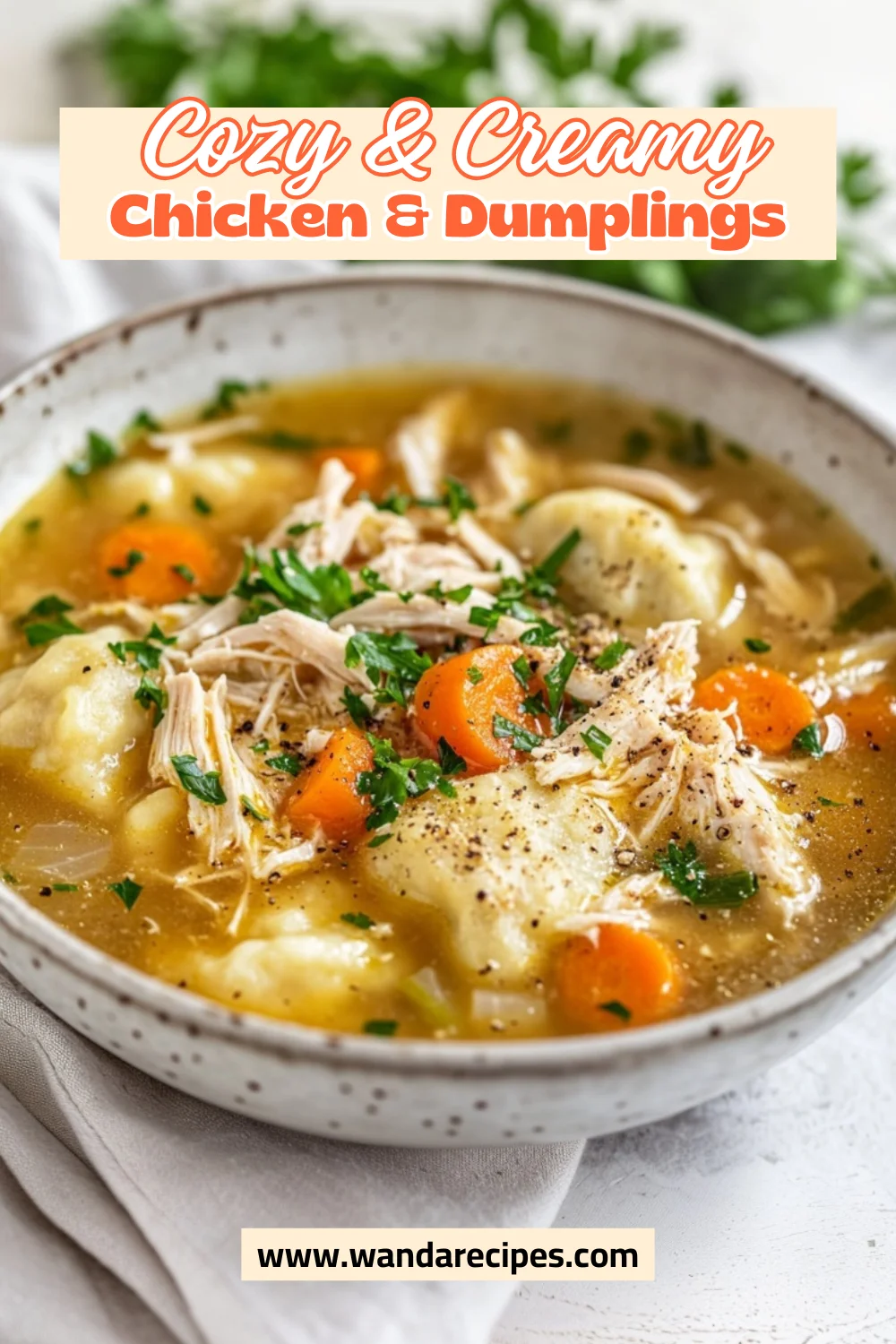 Homemade Chicken And Dumplings With Rolled Dumplings Recipe 2 Homemade Chicken And Dumplings With Rolled Dumplings