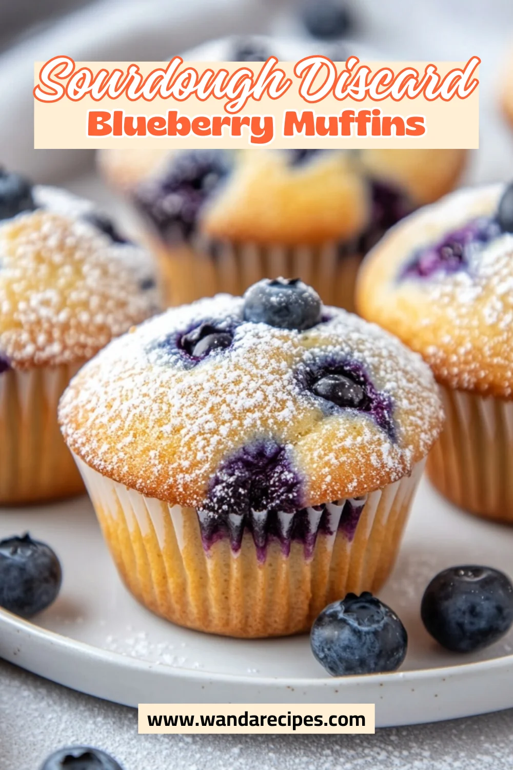 Soft And Delicious Sourdough Blueberry Muffins Recipe 2 Sourdough Blueberry Muffins