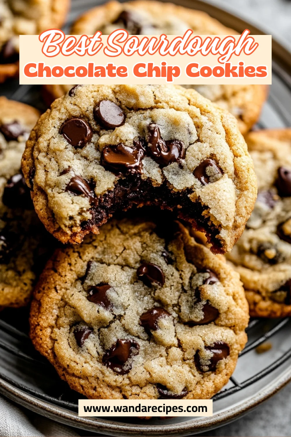 How To Make Delicious Sourdough Chocolate Chip Cookies 2 Sourdough Chocolate Chip Cookies