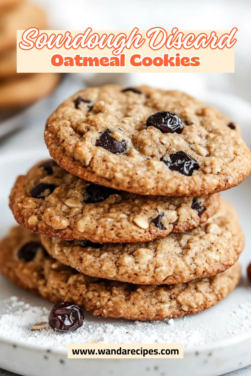 Sourdough Discard Oatmeal Cookies, Chewy Currant Cookies For Baking 2 Sourdough Discard Oatmeal Cookies