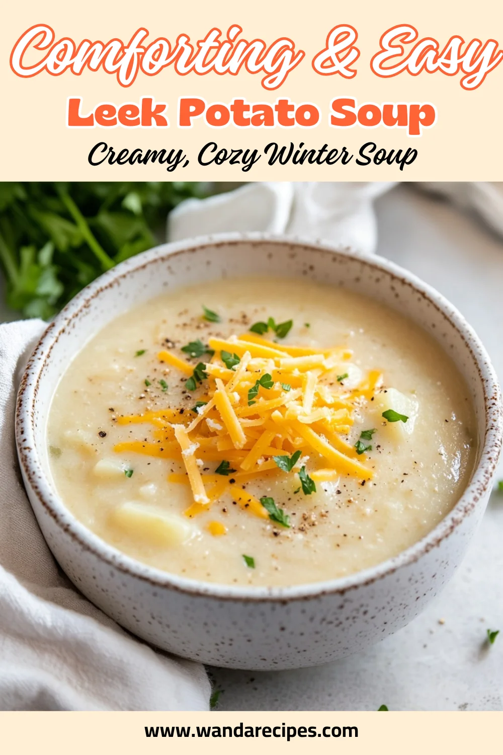 Winter Leek Potato Soup